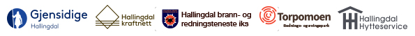 Gjensidige Hallingdal, VARIG forsikring, Hallingdal Kraftnett, Hallingdal Hytteservice, Hallingdal brann- og redningsteneste, Torpomoen